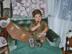 Ahalloween_72x54_c