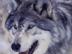 Image001_72x54_c