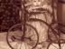 Scan0003_72x54_c